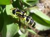 252348 – Photo : Adrien Jailloux – France (34)