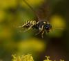 253230 – Photo : éric Pensa – France (13)