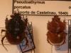 253100 – Photo : Le Rustique – Mauritanie