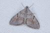 253888 – Photo : Fabricius – France (13)