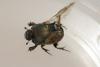 253861 – Photo : Olivier Pouvreau – France (86)