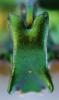 253096 – Photo : Christian Berquer – Philippines