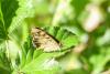 253842 – Photo : florent besson – France (18)