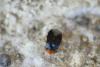 253355 – Photo : florent besson – France (18)