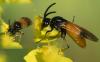 253644 – Photo : éric Pensa – France (13)