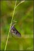 253137 – Photo : Jean-Philippe Sanquer – France (29)