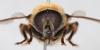 254413 – Photo : Arthropa - Benoit Martha – France (18)