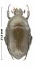 254969 – Photo : P.Deschamps – Madagascar