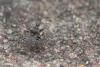 254641 – Photo : Samuel ORTION – France (72)