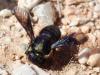 254466 – Photo : Benjamin Guichard – Grèce