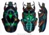 254240 – Photo : Stephane VASSEL – Philippines