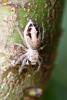 254604 – Photo : Mathurin CARNET – France (58)