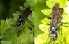 254620 – Photo : éric Pensa – France (13)