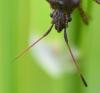 255163 – Photo : Jean-Michel GAREL – France (89)