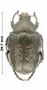 255069 – Photo : P.Deschamps – Madagascar