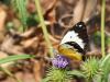 255841 – Photo : Lionel Casset – Bénin
