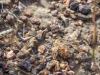 255347 – Photo : Lionel Casset – Bénin