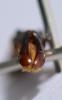 255885 – Photo : Christian Berquer – Madagascar