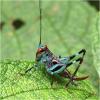255073 – Photo : Benoit Guillon – Vietnam