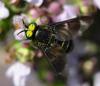 255428 – Photo : naudon david – France (87)
