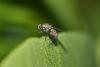 256656 – Photo : vincent thary – France (84)