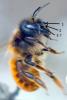 256487 – Photo : Bernard Nogues – France (83)