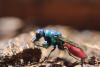 256681 – Photo : Simon Thevenin – France (13)