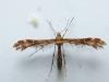 256381 – Photo : André Blasco – France (13)