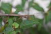 256776 – Photo : Benjamin Guichard – France (29)