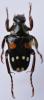 256075 – Photo : Christian Berquer – Madagascar