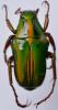 256181 – Photo : Christian Berquer – Madagascar