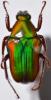 256566 – Photo : Christian Berquer – Madagascar