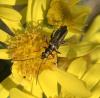 257527 – Photo : Gould24 – France (24)