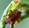 257982 – Photo : Jean-Michel GAREL – France (89)