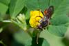 257310 – Photo : Bernard Nogues – France (83)