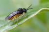 257891 – Photo : Bernard Nogues – France (83)
