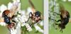 257801 – Photo : Jean-Michel GAREL – France (89)
