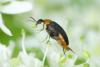 257996 – Photo : florent besson – France (18)