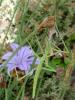 257967 – Photo : Brigitte Emmery – France (05)