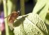 257677 – Photo : Jean-Pierre Viallard – France (28)