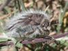 257078 – Photo : Benjamin Guichard – Grèce