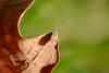 257795 – Photo : Guillaume Huot-Marchand – France (88)