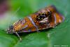 257173 – Photo : Christophe Sirere – France (18)