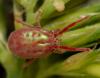 258654 – Photo : André Burgers – Espagne