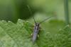 258403 – Photo : Pierre Duhem – France (95)