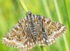 258646 – Photo : Régine Viguier – France (12)