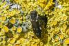 258067 – Photo : florent besson – France (18)