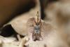 258471 – Photo : Simon Thevenin – France (13)