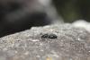 258411 – Photo : Simon Thevenin – France (13)