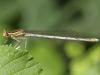 258970 – Photo : Alain Gérard – France (32)